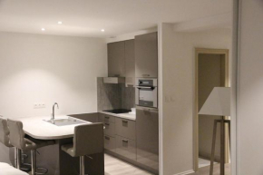 Отель Les Dentelles - Appartement meublé design Petite France  Страсбург